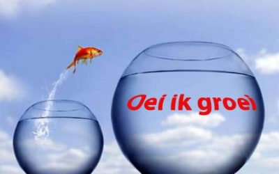 Lean kwaliteitsmanagement ….Oei, ik groei